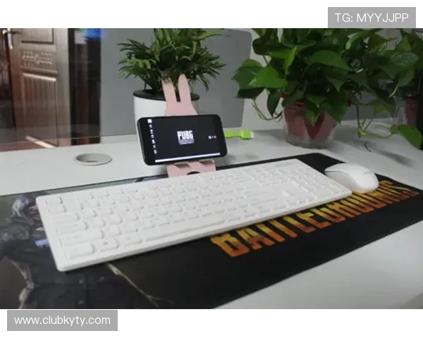 Kaiyun开云登录下载最新版本介绍，带来更优质的云端体验