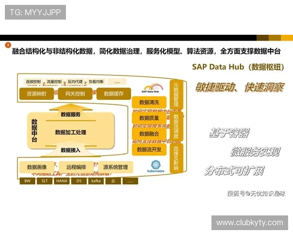 开云集团在数字化转型中的成功案例与挑战 开云集团在数字化转型中的成功案例与挑战